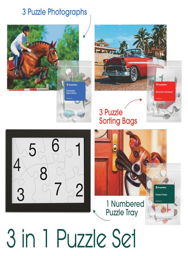 Keeping Busy Numbered 3 Pack Large Piece Puzzles for Seniors | Dementia Activities for Seniors Game Dementia Products for Elderly Alzheimers Activities (Numbered Puzzle) - Image 4